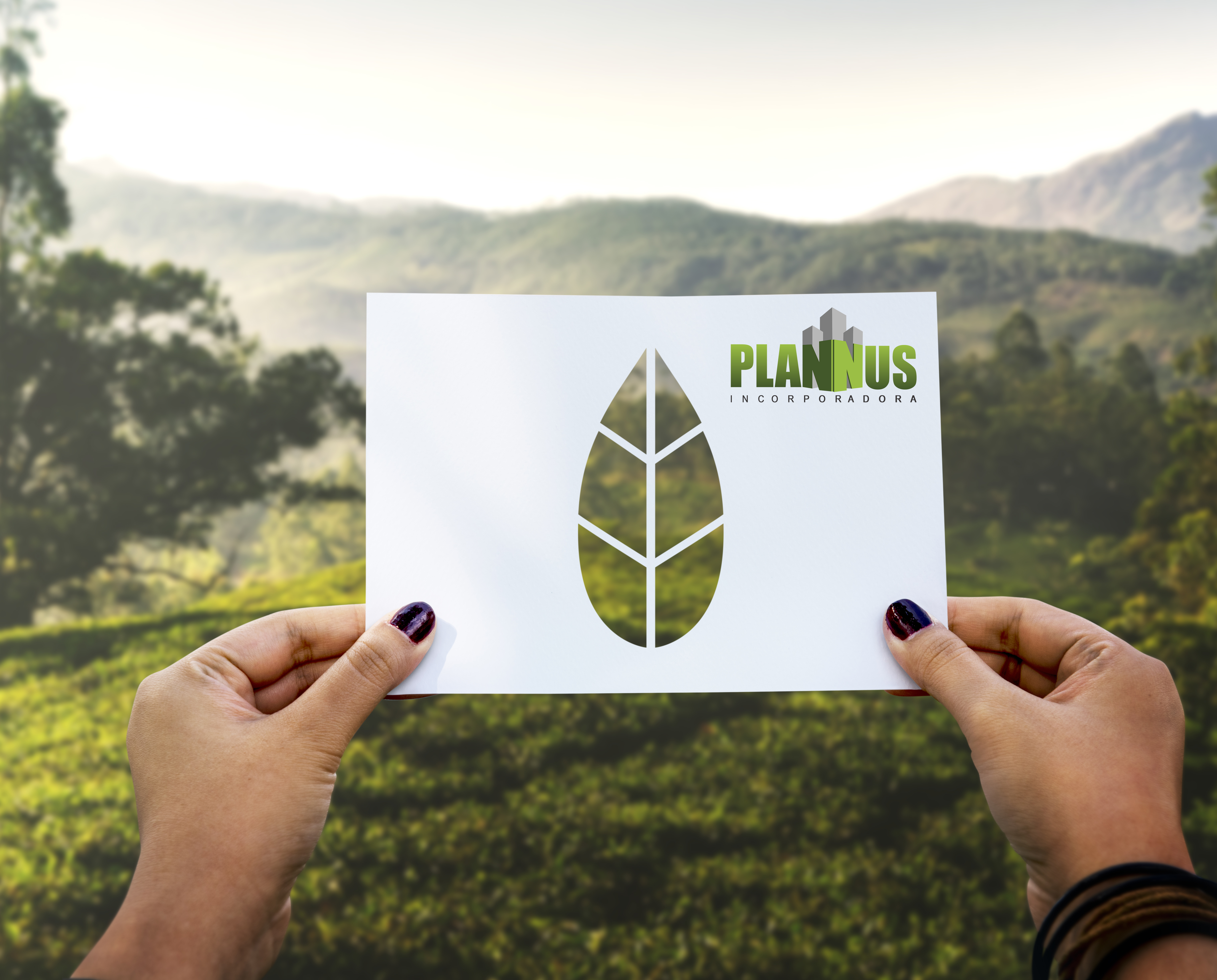 Consultoria Ambiental: